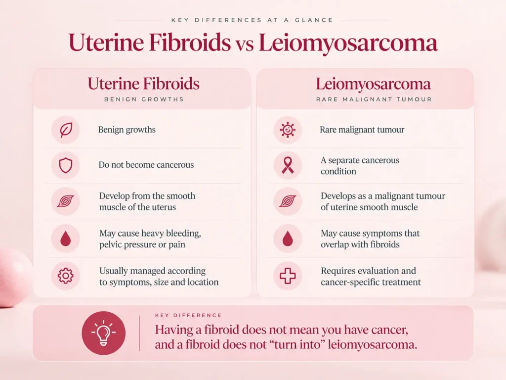 Infographic comparing uterine fibroids and leiomyosarcoma, showing that fibroids are benign growths that do not become cancerous, while leiomyosarcoma is a rare malignant uterine tumour.
